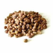 Charoli Nuts